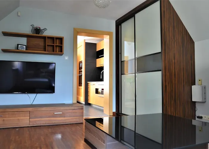 Tcz Mokra ポズナン